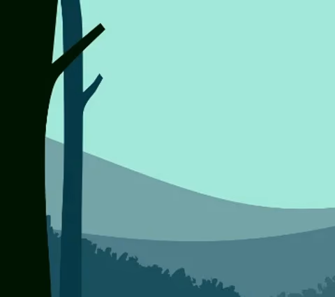 wooded fields