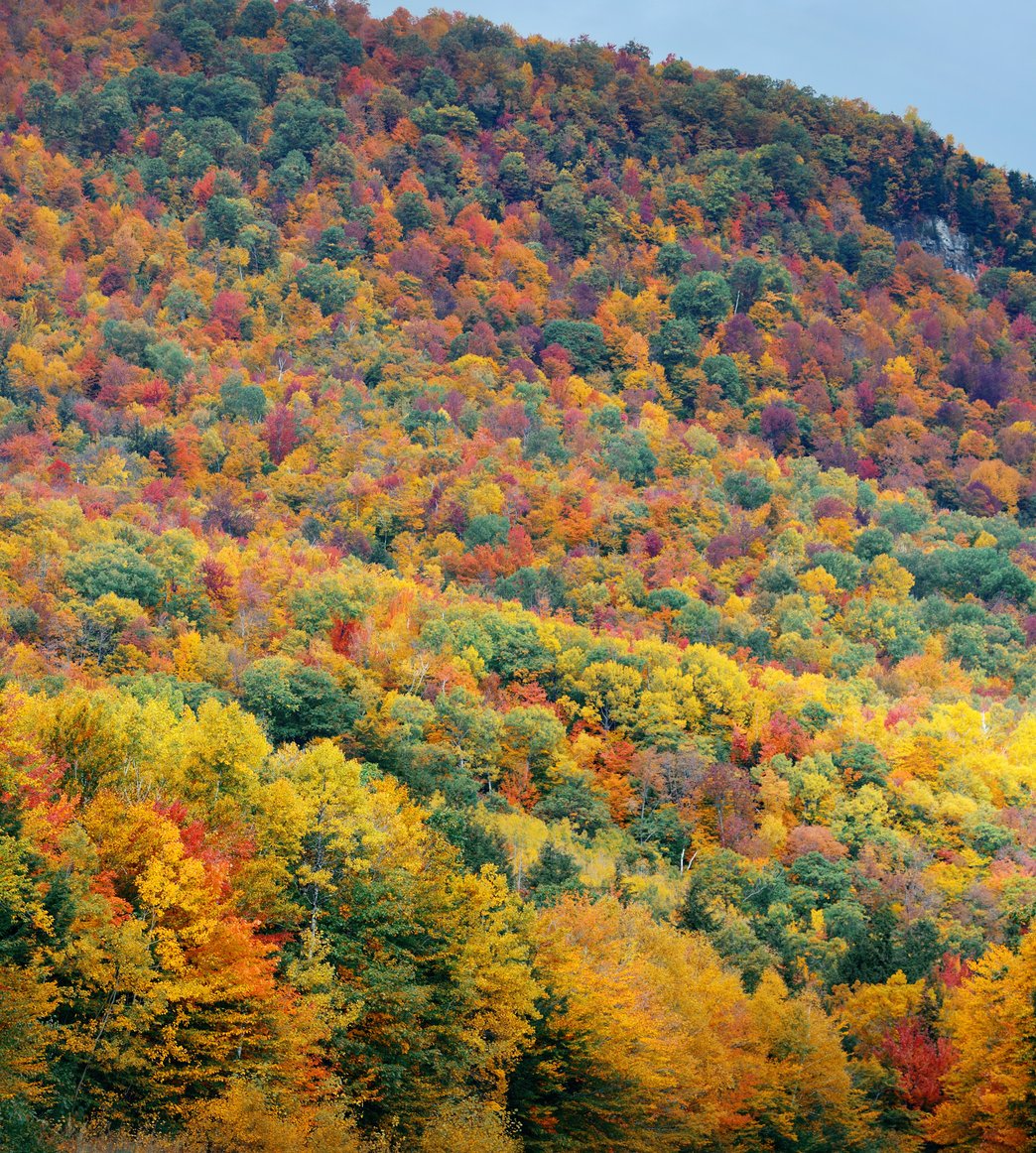 white mountains
